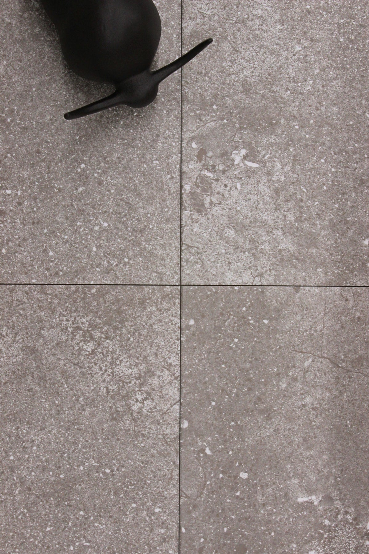 Ceramic campania 12x24 argent mat
