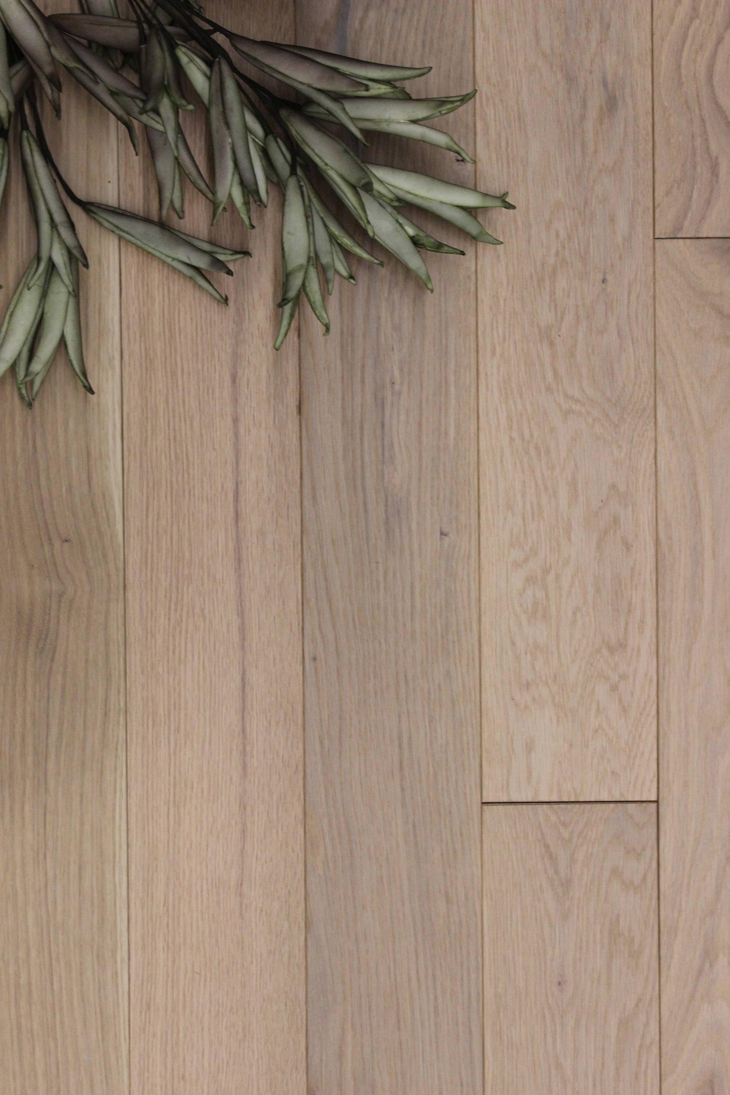 Hardwood white oak 4-1/4 naked 19 sqft/box