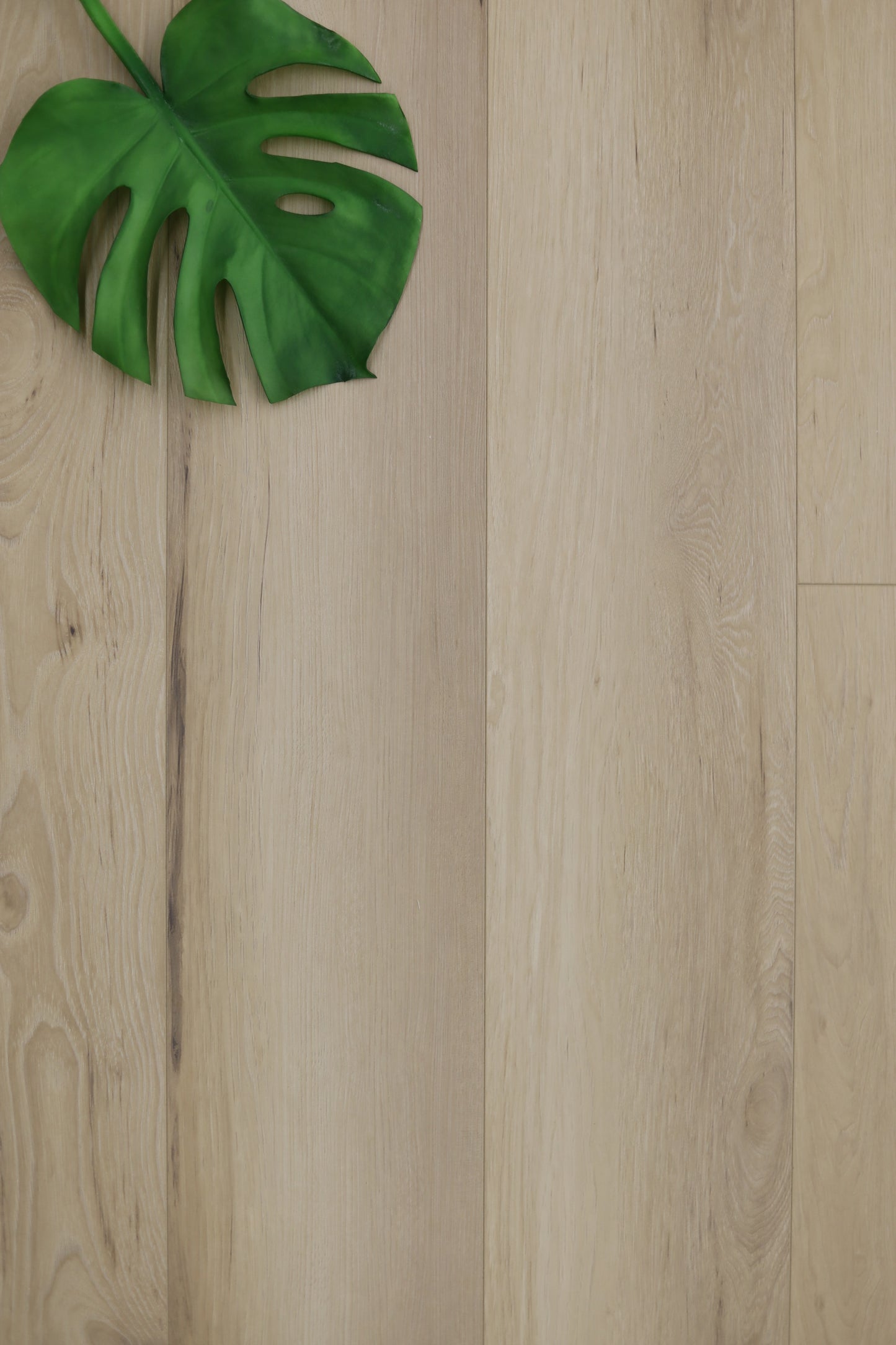 Laminate water resistant 4d eir 60'' 12mm aurora 15.85sqft/box