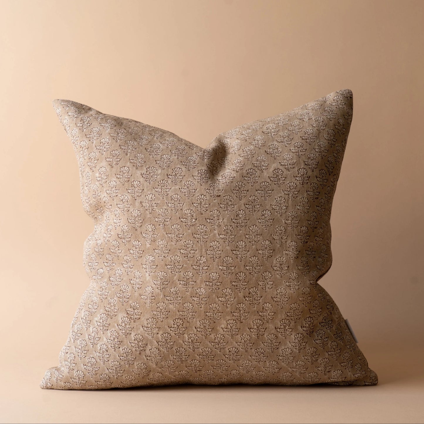 Coussin samson 22 x 22