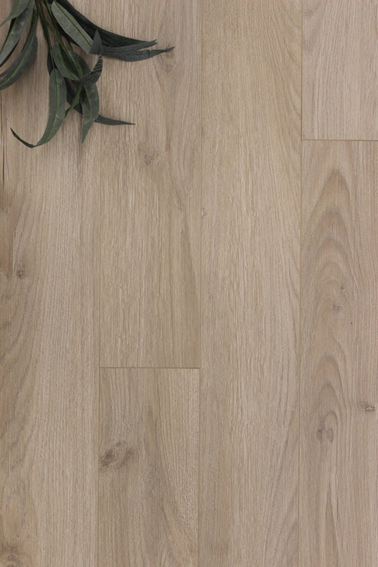 Laminate urban 8mm ashur 26.05 sqft/box