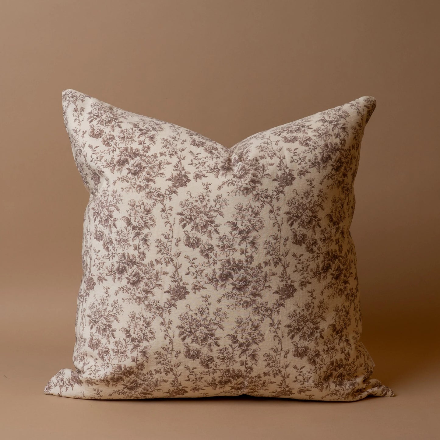 Coussin hugo 20 x 20