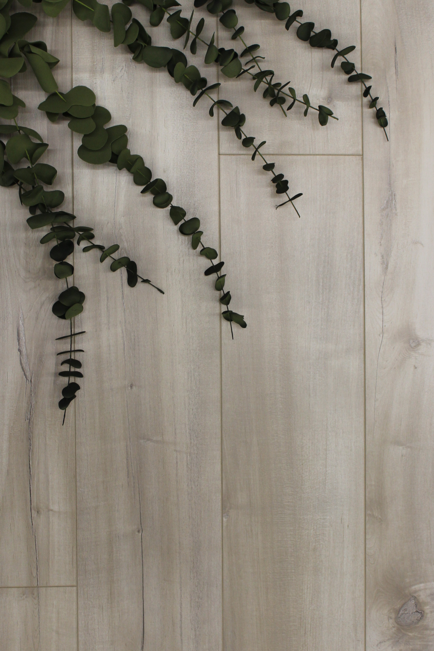 Laminate bellagio 12mm 36hrs elena 21.58 sqft/boxes