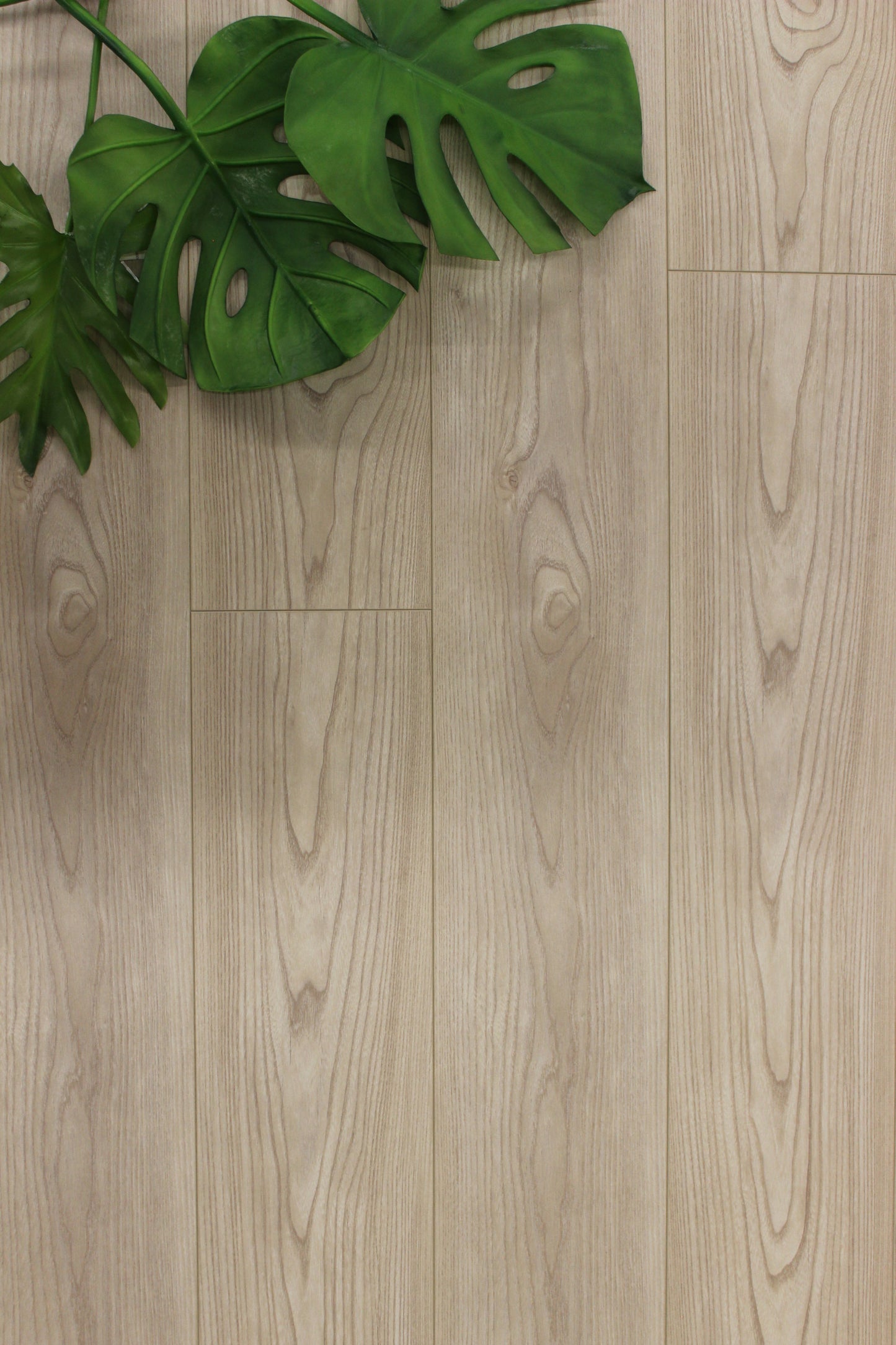 Laminate bellagio 12mm 36hrs felipe 21.58sqft/box
