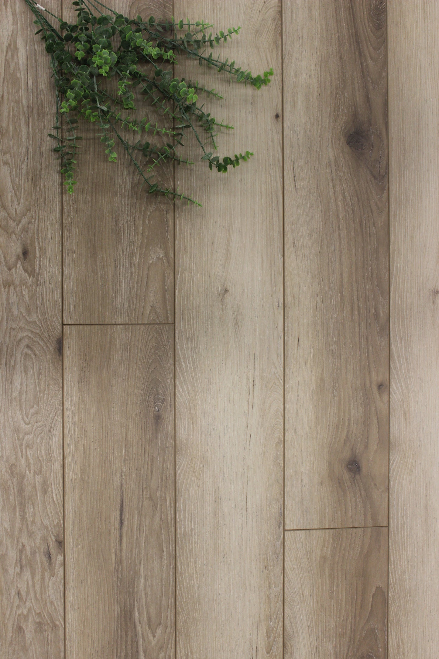 Laminate bellagio 12mm 36hrs diana 21.58sqft/box