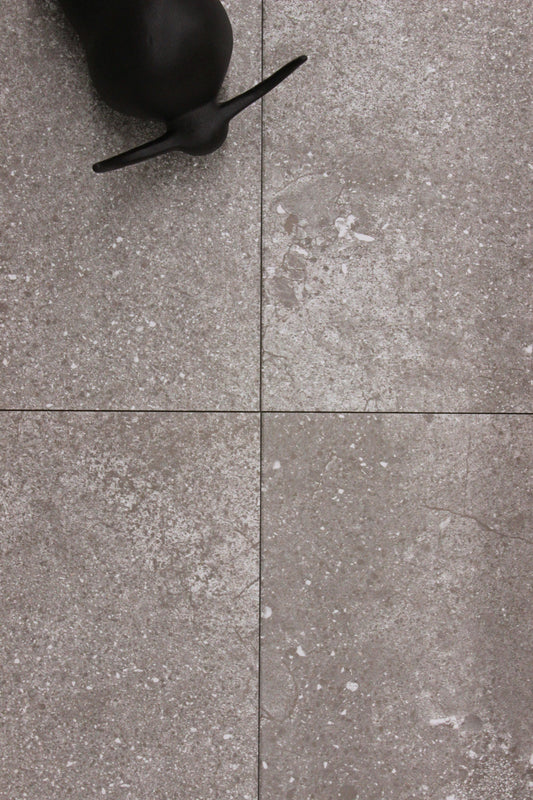 Ceramic campania 12x24 argent mat