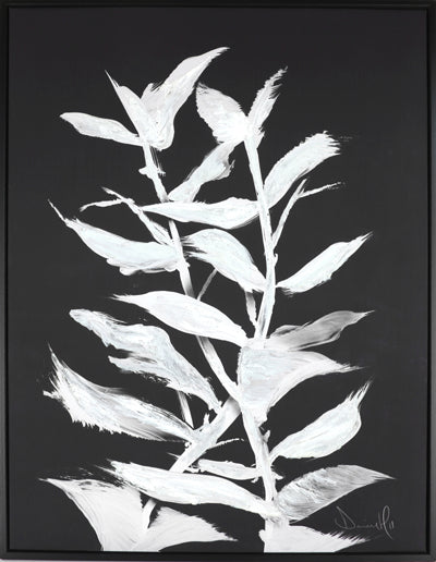 Cadre night plant 31.25 x 41.25 