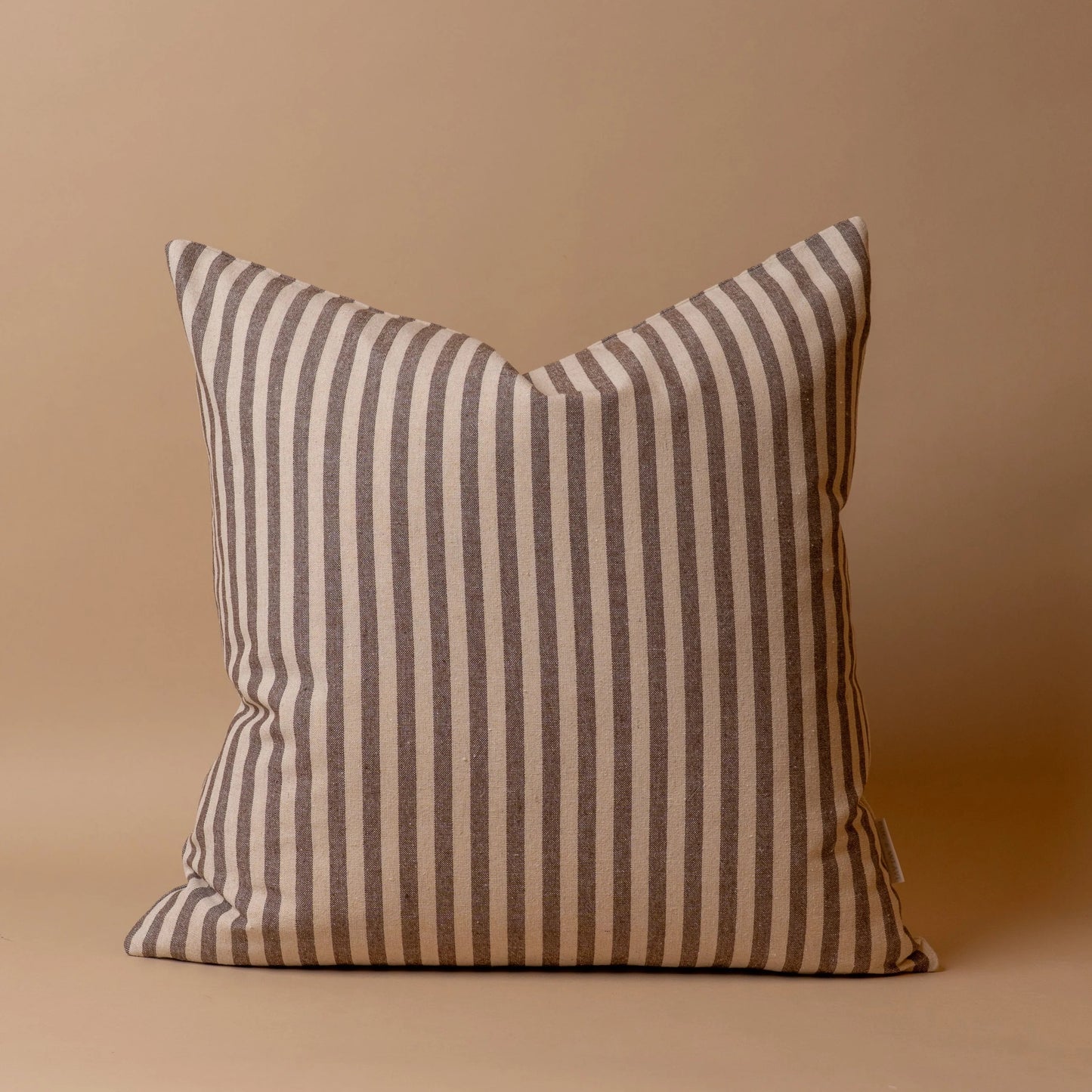 Coussin hudson 22 x 22