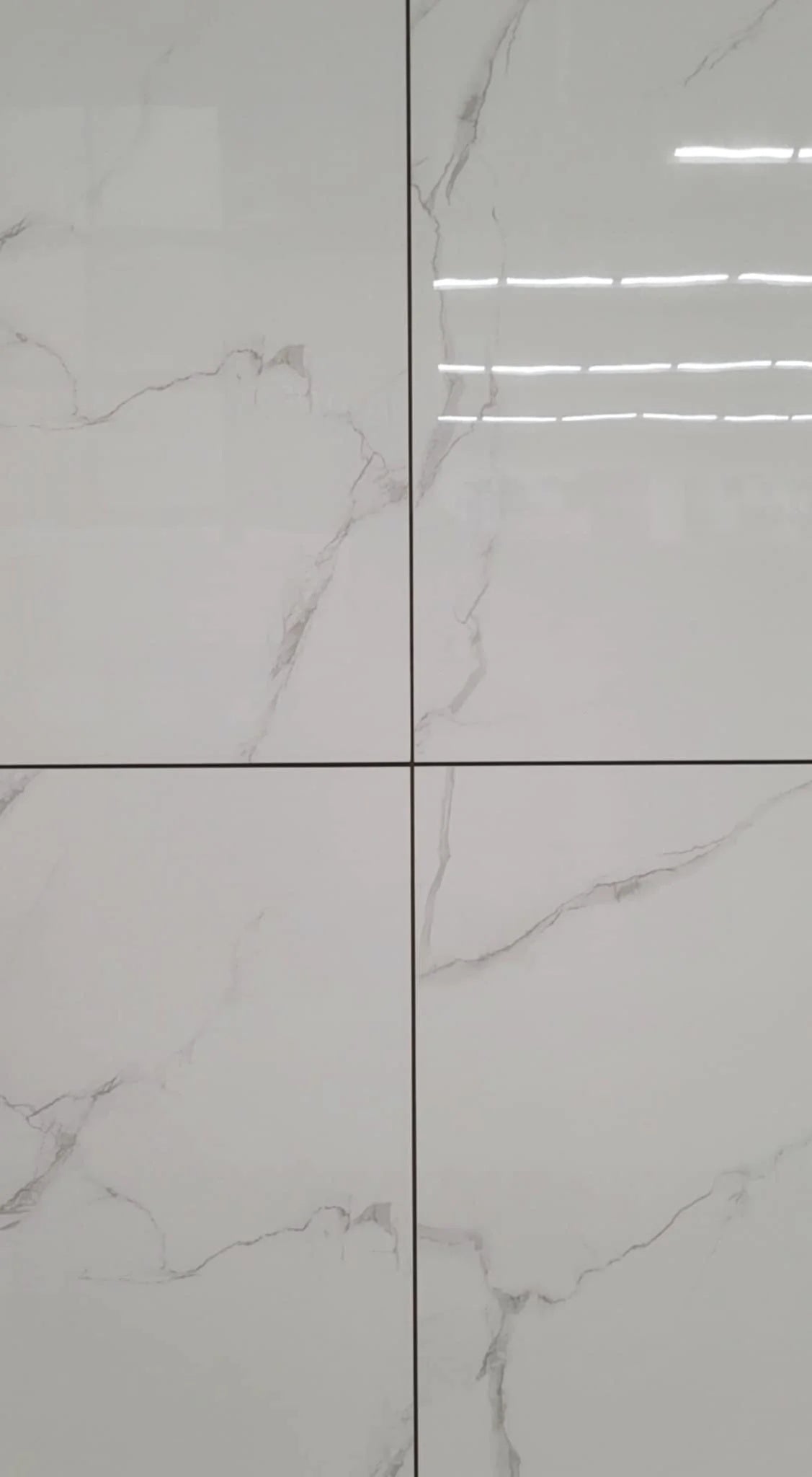 Ceramique delicato 24x24 poli  3.88 pi2/mcx