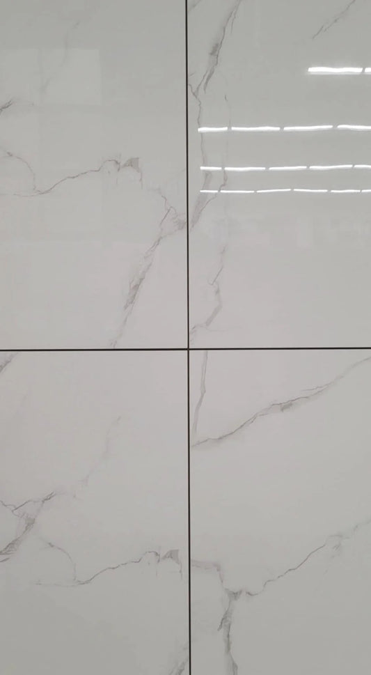 Ceramique delicato 24x24 poli  3.88 pi2/mcx