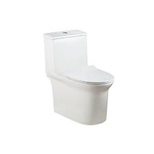 Toilette monopièce double flush avec siege ferm