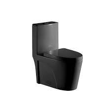 Toilette monobloc allongée, noir mat, à double chasse