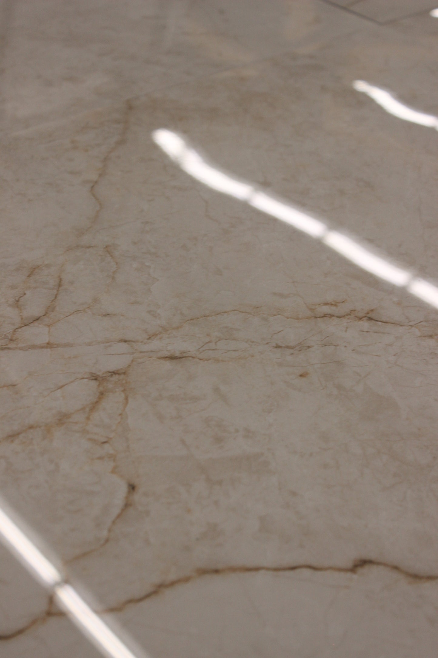 Ceramic saint lux beige 24x24 15.50 sqft/box