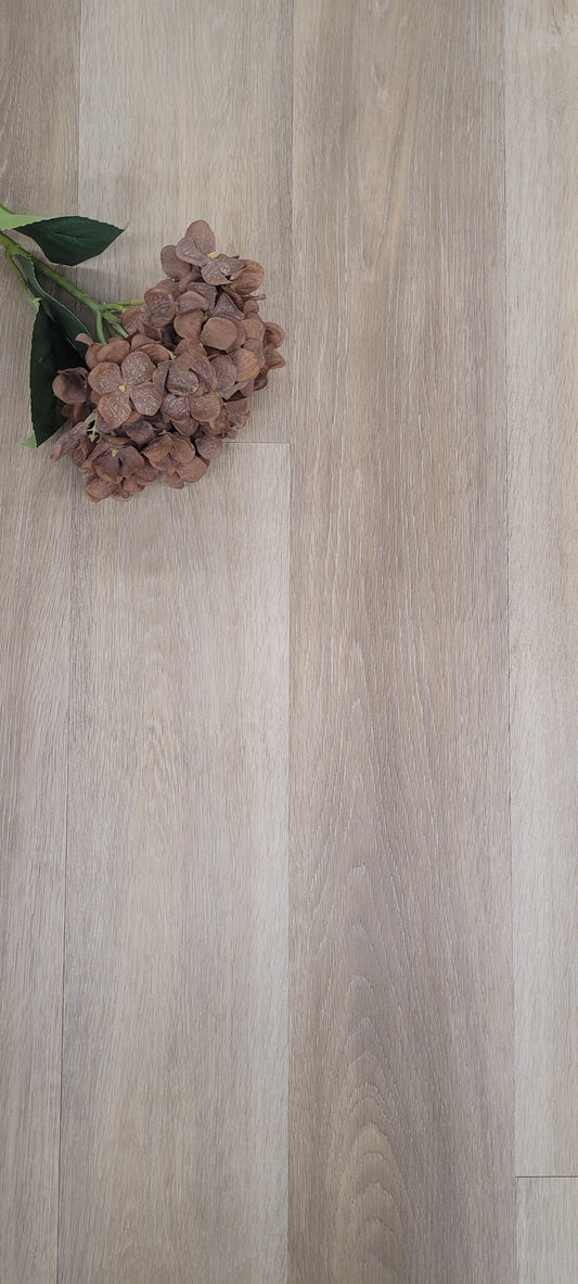 Vinyle collé evolution 6x48 blé 41.47 pi2/bte 