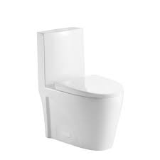 Toilette monobloc allongée, blanc mat, à double chasse