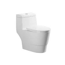 Toilette monopièce double flush avec siege ferm