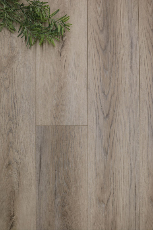Laminé coralline 14.3mm 15.3 pi2/boite